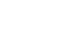 Botanical Leaf Branch