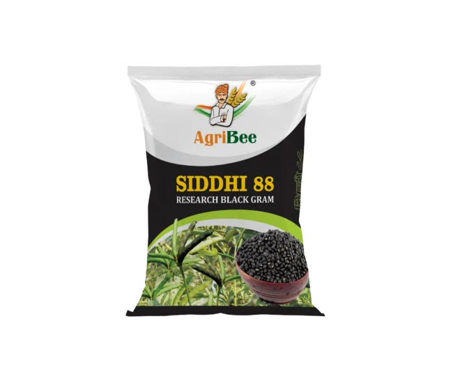 Blackgram Siddhi 88