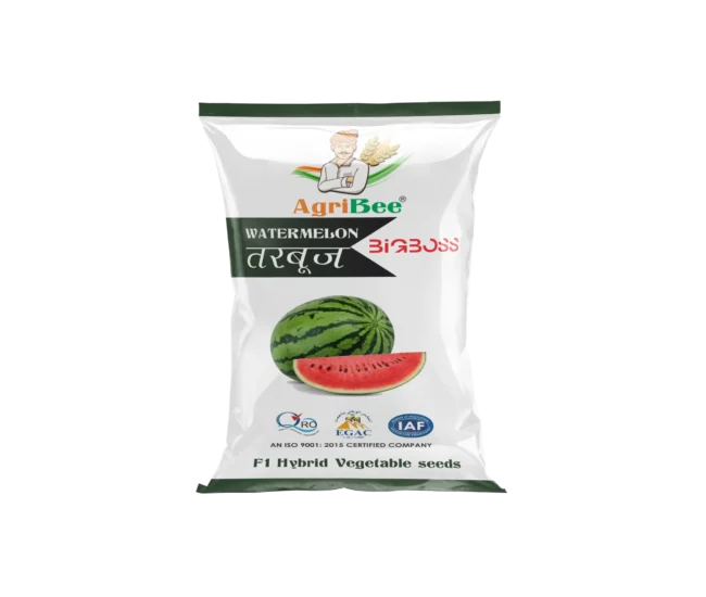 Watermelon Seeds - BigBoss