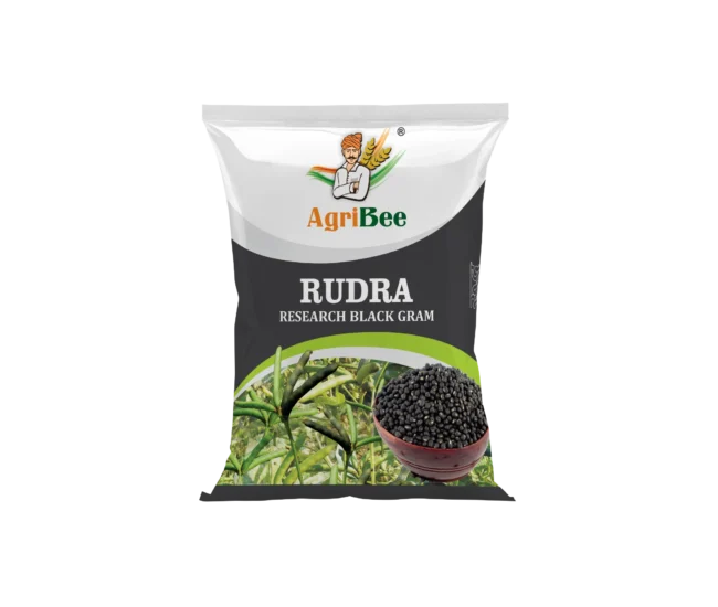 BlackGram Rudra