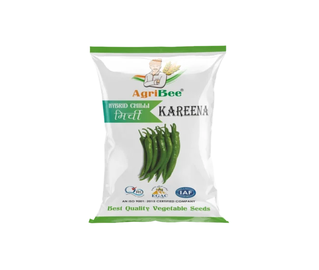 Chilli Seeds AgriBee Kareena F1 HY