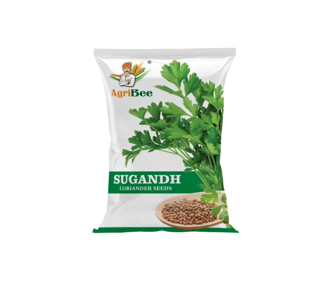 Coriander Seeds Sugandh