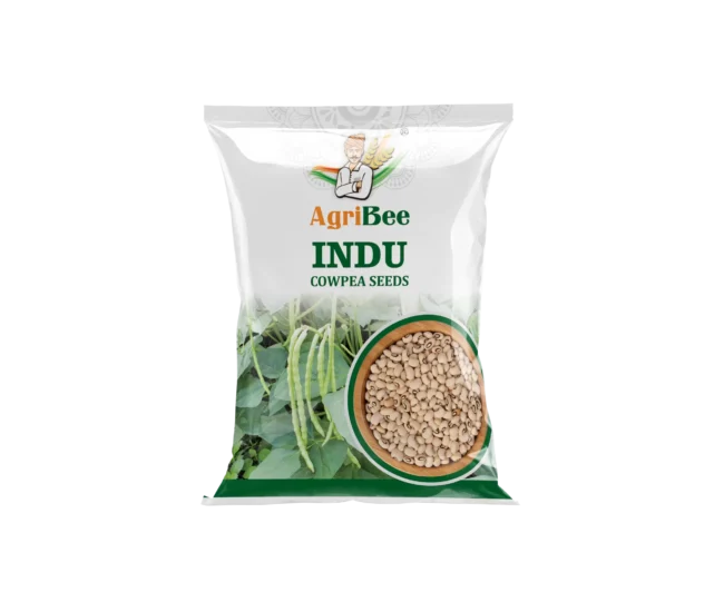 Cowpea Seeds - Indu