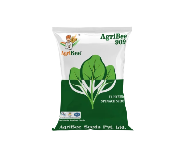 Hybrid Spinach Seeds