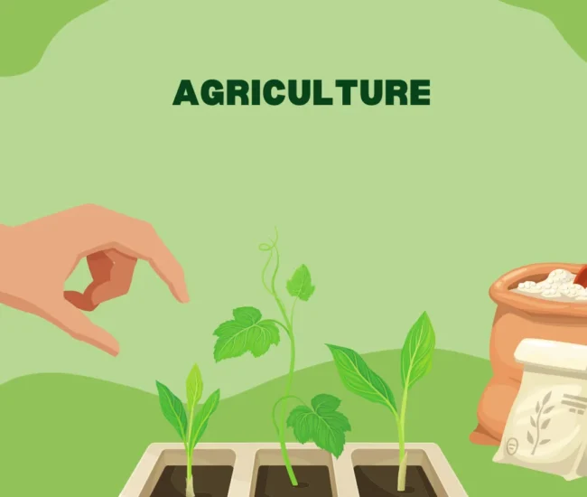 AgriBee Seeds Private Limited