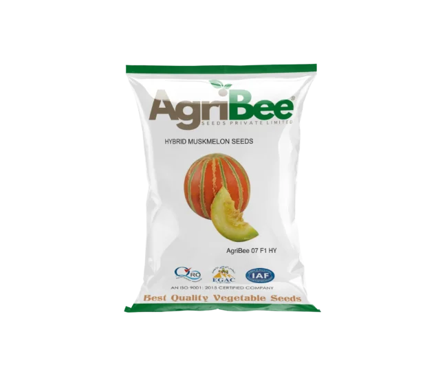 Muskmelon Seeds AgriBee Golden 77 F1 HY 3 AgriBee Golden 77 F1 HY