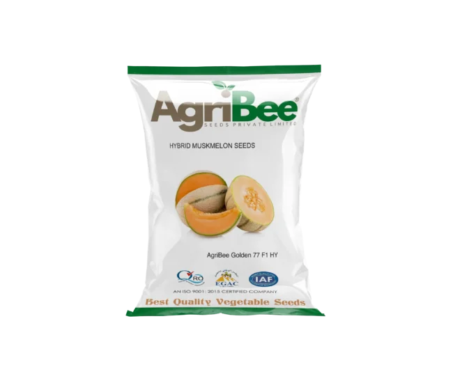 Muskmelon Seeds AgriBee 07 F1 HY 4 AgriBee 07 F1 HY