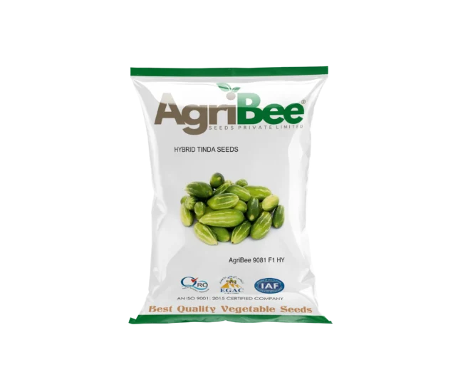 AgriBee 9081 F1 HY