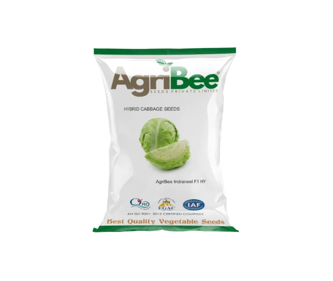 Cabbage Seeds AgriBee Indraneel F1 HY