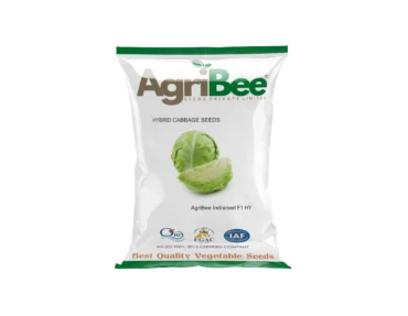 Cabbage Seeds AgriBee Indraneel F1 HY Cabbage Seeds AgriBee Indraneel F1 HY