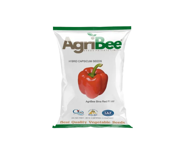 Capsicum Seeds AgriBee Bina Red F1 HY