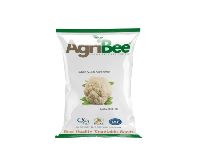 Cauliflower Seeds: Rabi Season Farming in India 1 Cauliflower Seeds AgriBee 009 F1 HY
