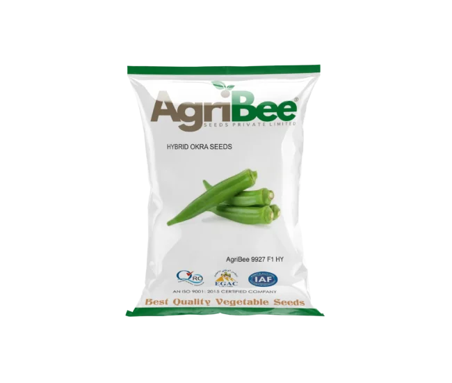 Okra Seeds AgriBee 9927 F1 HY 1 Okra Seeds AgriBee 9927 F1 HY