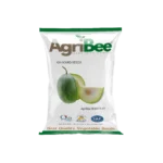 Ash Gourd Seeds: Winter Melon Farming in India