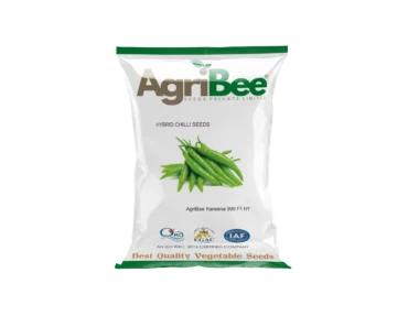 Chilli Seeds AgriBee Kareena 999 F1 HY Chilli Seeds AgriBee Kareena 999 F1 HY