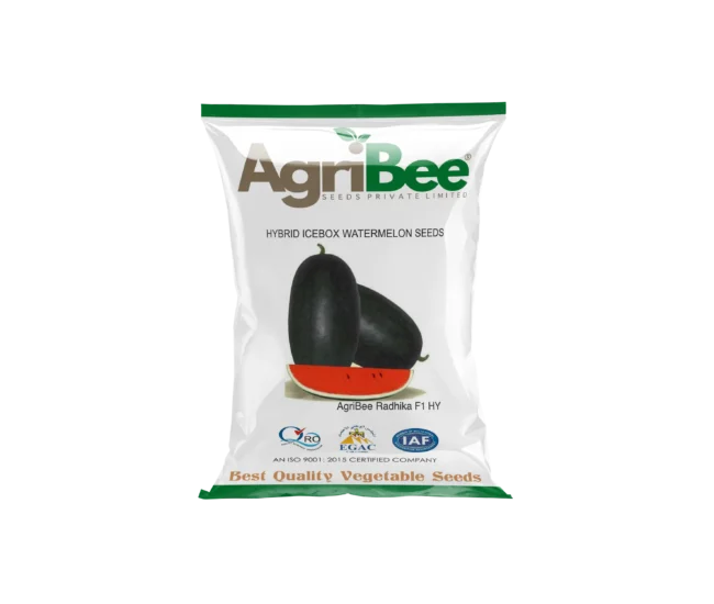 IceBox Seeds AgriBee Radhika 99 F1 HY 8 AgriBee Radhika 99 F1 HY