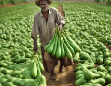 agribee-seo-bottle-gourd-1791918332.webp agribee-seo-bottle-gourd-1791918332.webp